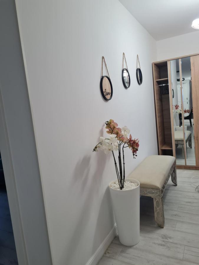 Toronto Deluxe Residence Timisoara Bagian luar foto